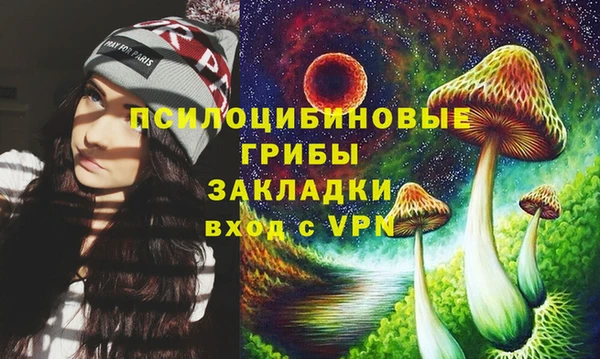 ПСИЛОЦИБИНОВЫЕ ГРИБЫ Анива