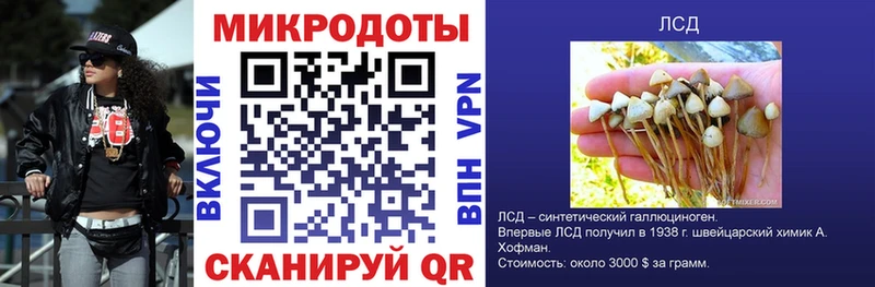 Псилоцибиновые грибы мицелий  Купить закладки  Западная Двина 